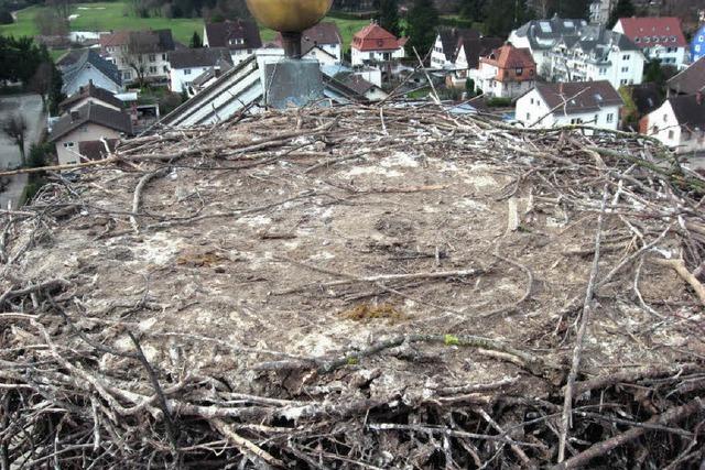 Frhjahrsputz fr’s Nest