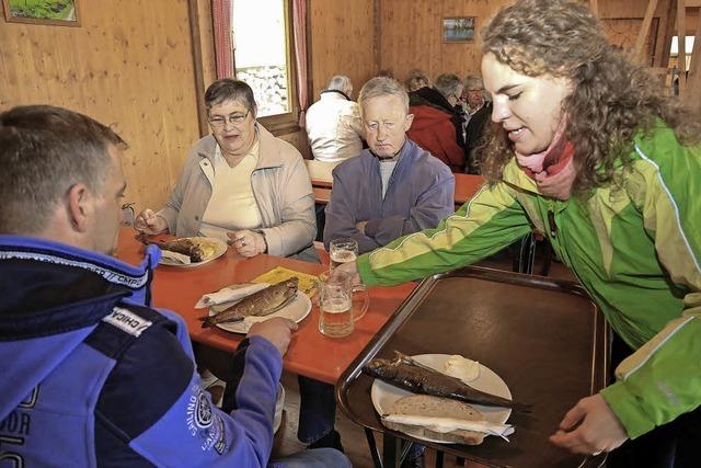 700 Forellen hngen im Rauch