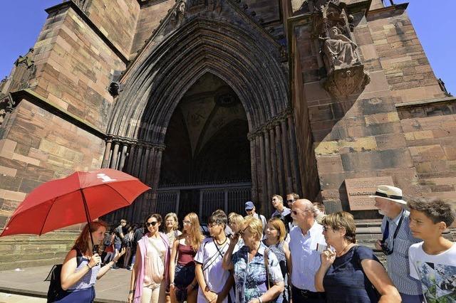 Stadtfhrungen in Freiburg - ein Markt ohne Platzhirsch