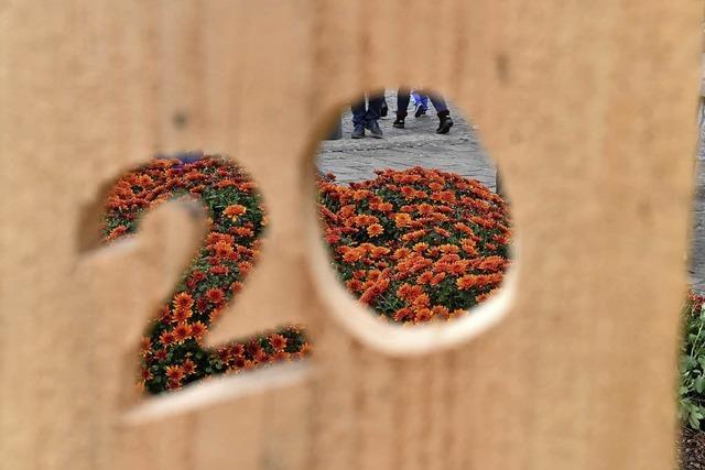 CHRYSAN-THEMA : Glck zum Geburtstag