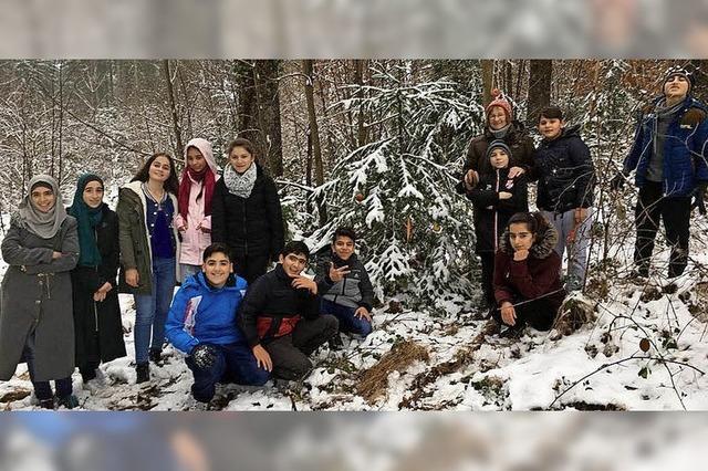 Schler fllen ihre eigenen Christbume
