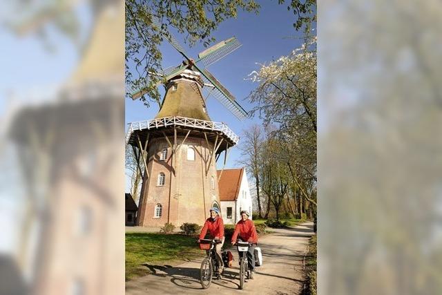 Emsland: Kuchen in Klein-Texas