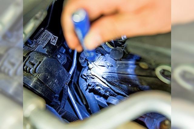 Verbissen im Motorraum