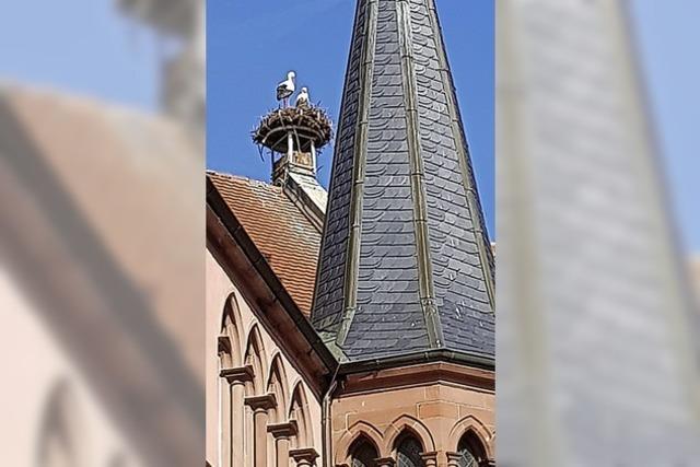 MARKTPLATZ 11: Trostpflaster vom Knstler