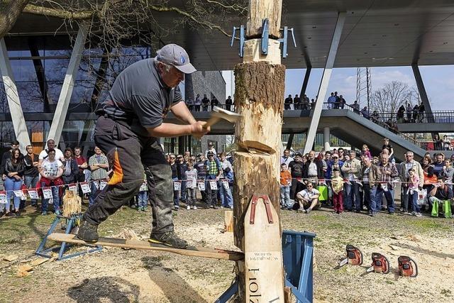 Demonstrations-Messe fr modernes Arbeiten im Forst