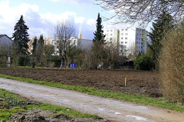 Rte streiten ber Zwischenlager