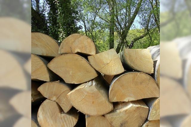 Vom Wald und seinem Wert
