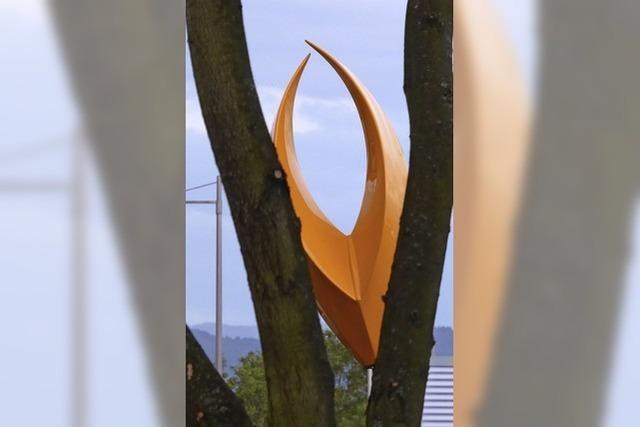 Kunst und Natur