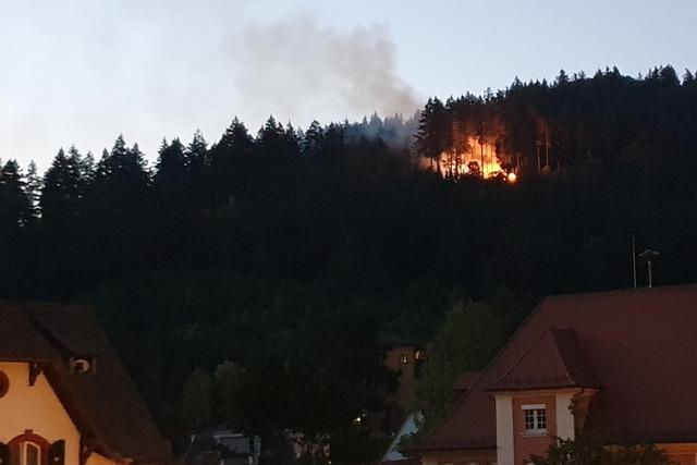 Feuerwehr bekmpfte Waldbrand in unwegsamem Gelnde