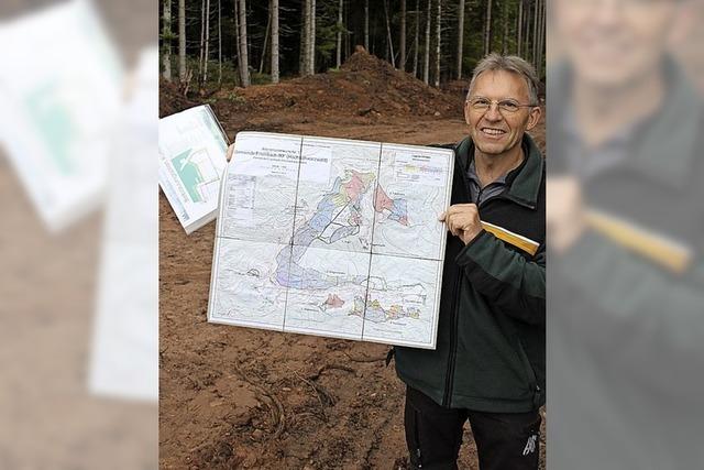 Wald bleibt vorerst stehen