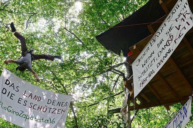 Baumbesetzer protestieren gegen neuen Freiburger Stadtteil Dietenbach