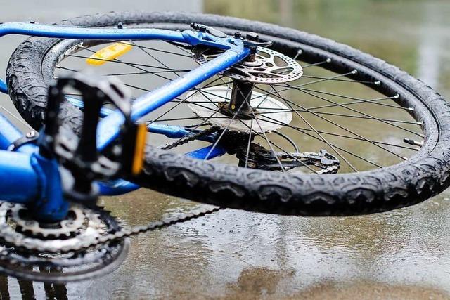 Hund rennt bei Maulburg in ein Fahrrad und bringt 70-Jhrige zu Fall