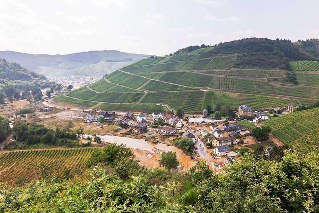 Kaisersthler Winzer helfen Weingtern an der Ahr