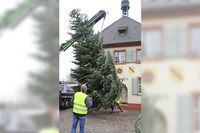 Es weihnachtet schon