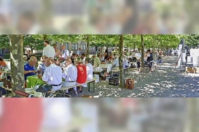 Picknick fr den guten Zweck
