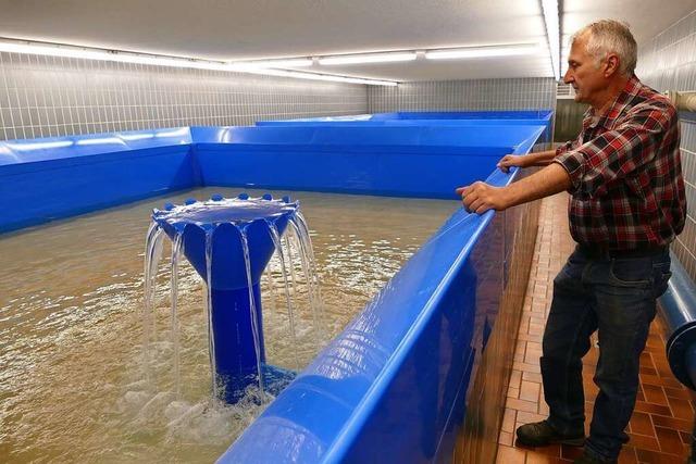 Wie funktioniert eigentlich die Gruppenwasserversorgung im Hochschwarzwald?