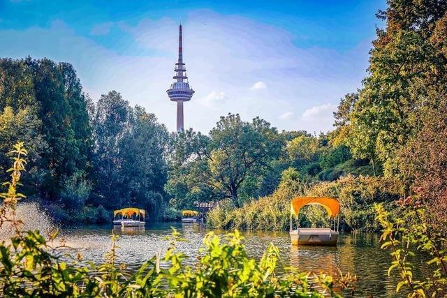 Bundesgartenschau in Mannheim: ein blhender Mix aus Seilbahn, Pinguinen und Klimathemen