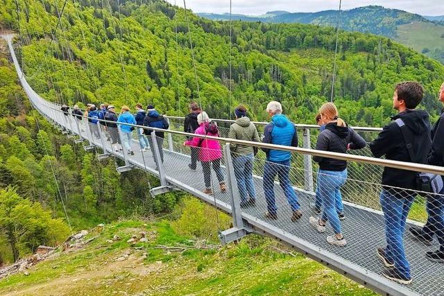 Plne fr neue Hngebrcke in Todtmoos geraten ins Wanken