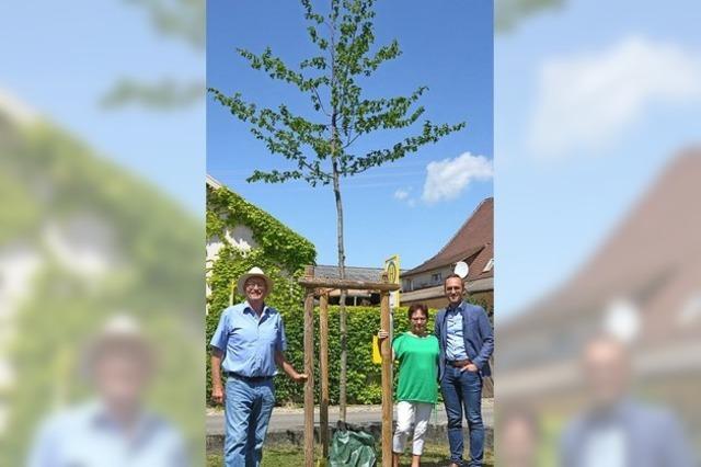 Vom Nutzgarten zum kleinen Treffpunkt