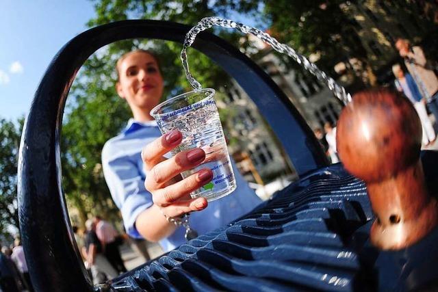Projekte fr besseres Stadtklima sind in Lrrach kein Luxus, sondern Schutz