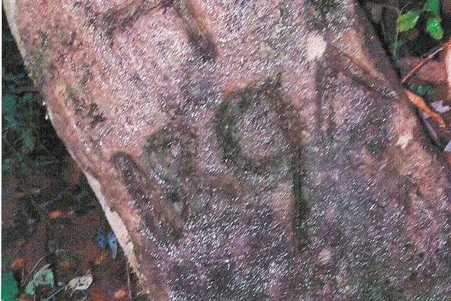 Historiker entschlsseln alten Grenzstein in Friesenheim-Schuttern