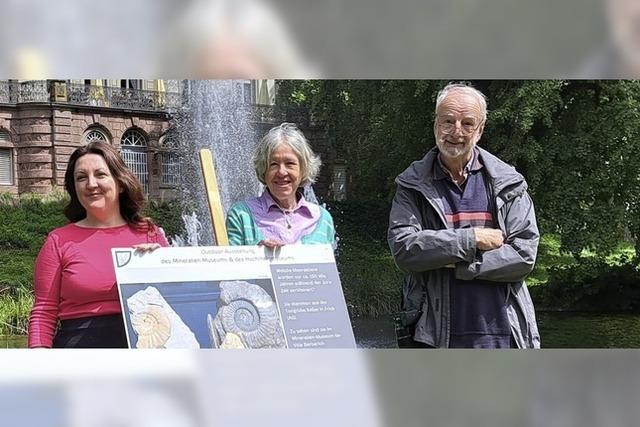 Besondere Steine und eine zufllige Entdeckung