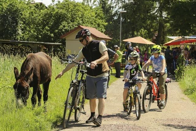 Beim Wandern sorgt der Esel fr viel Spa
