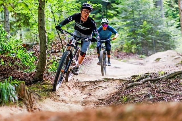 Die besten Mountainbike-Trails und Bikeparks