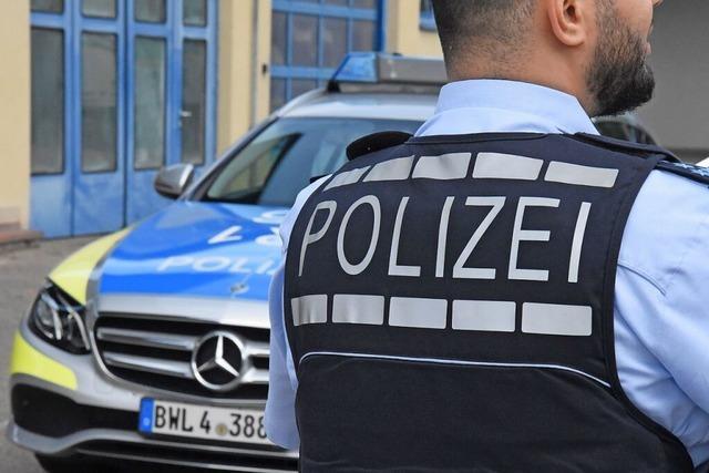 Niesattacke am Lenker: Motorradfahrer strzt bei Langenau