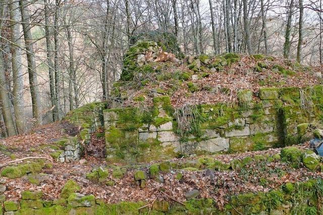 Ein neuer Frderkreis will die Schopfheimer Burgruine Turmhlzle bewahren