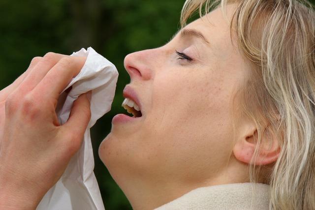 Erlenpollen sorgen fr starke Belastung im Sdwesten