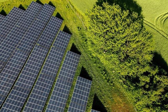 In Heuweiler solle es Freiflchen-PV-Anlagen statt Windrder geben