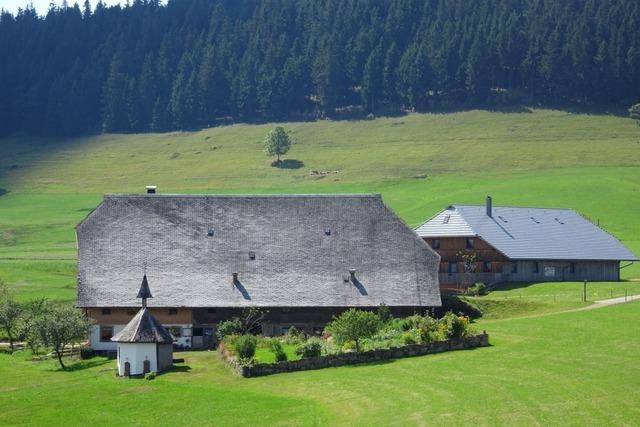 Digitale Landkarten sollen am Rohrhardsberg helfen, die Natur zu schtzen – der Berg ist Modellregion