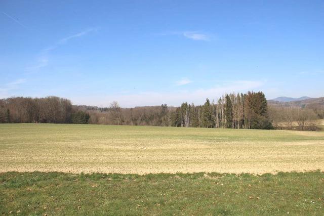Am Hochrhein war der Mrz dieses Jahr zu trocken