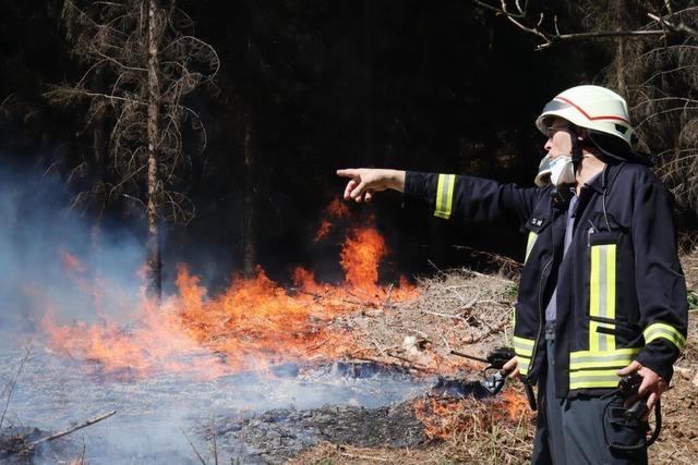 Zeugen gesucht nach Flchenbrand im Albbrucker Wald
