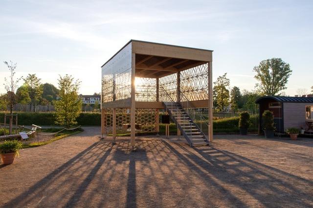 Warum wohl bald ein Pavillon in den Ebringer Reben steht