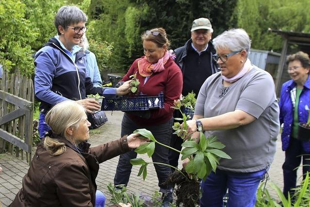 Pflanzentauschmarkt in Drlinbach