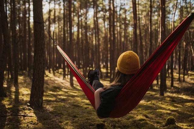 Im Landkreis Lrrach sind zwei Antrge fr Micro-Camping-Pltze eingegangen