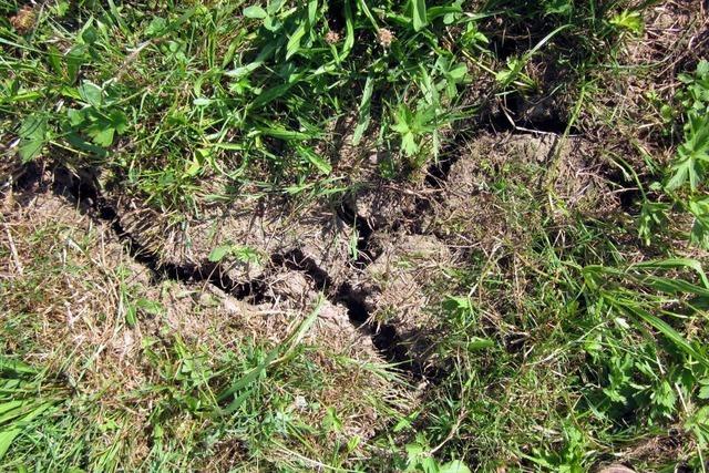Dritter zu trockener Monat in Folge: So war das Wetter im April in Bad Sckingen