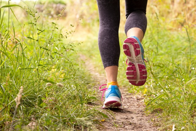 Beim Joggen im Wald kam es zu einer Auseinandersetzung (Symbolfoto). | Foto: carballo (stock.adobe.com) Beim Joggen im Wald kam es zu einer Auseinandersetzung (Symbolfoto). | Foto: carballo (stock.adobe.com)