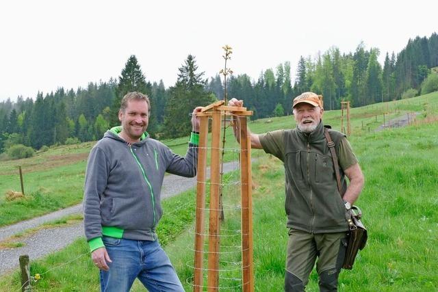 Bernauer pflanzen eine Baumallee fr die Brger