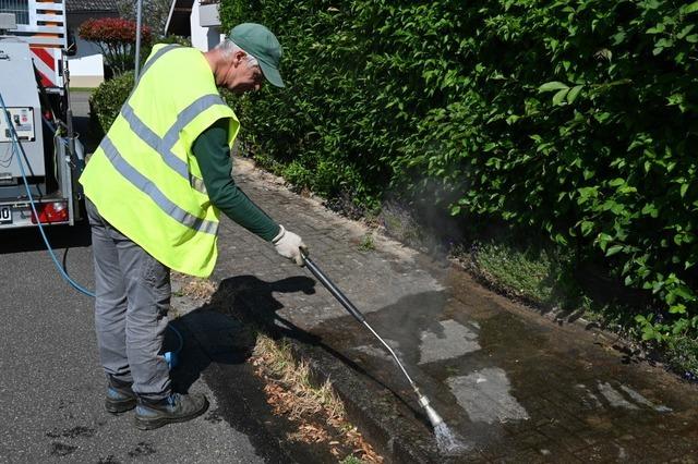 In Schallstadt werden invasive Ameisen mit heiem Wasser bekmpft - weniger Gift fr die Umwelt