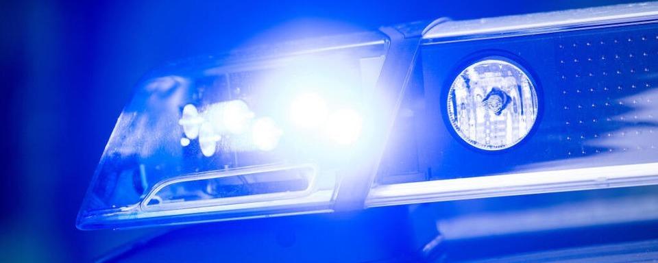 Unbekannte verwsten Grtnerei im Glottertal und richten hohen Schaden an