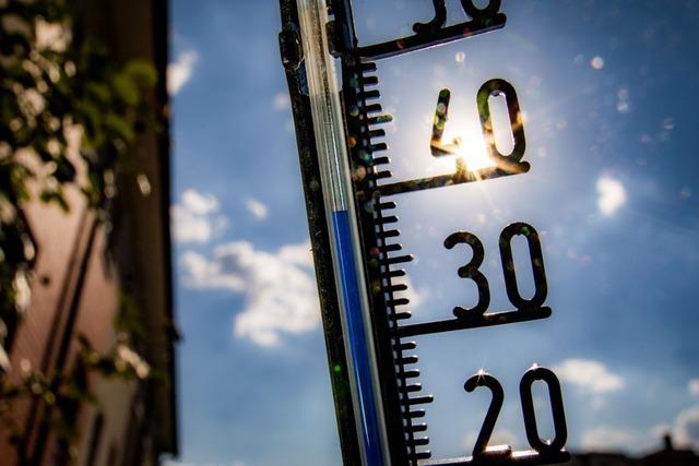 Kreis Lrrach will verstrkt die Natur nutzen zur Klimaanpassung