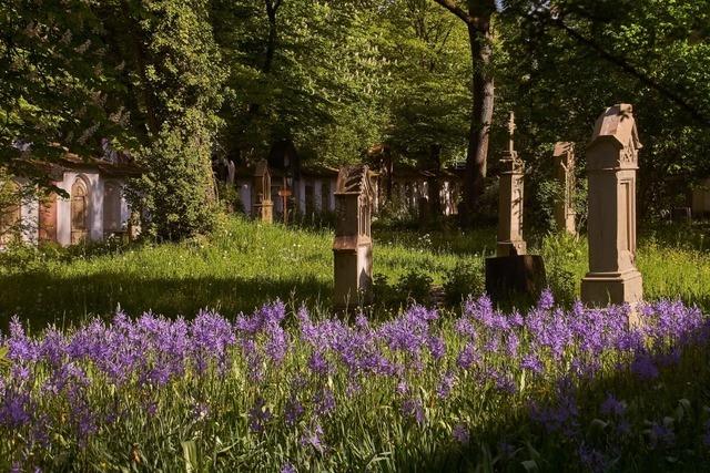 6 besondere Grten und Parks in Sdbaden