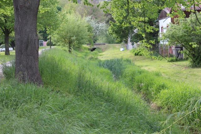 Gemeinde Efringen-Kirchen  wird Missbrauch des Gewsserrandstreifens  am Hodbach bestrafen
