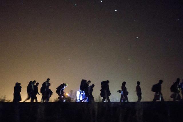 In Rosa zur Mergelwand hin: Esther Kinskys neuer Gedichtband "Heim.Statt"