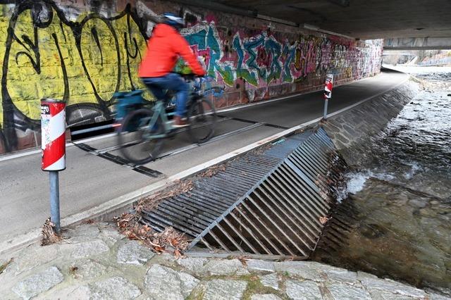 Fischsterben im Kronenmhlebach in Freiburg bleibt ohne strafrechtliche Folgen