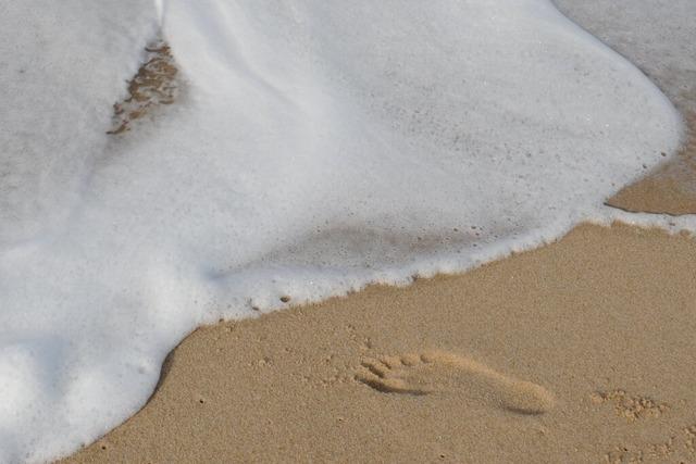Strand-Bulldozer ttet Urlauberin an Adriakste  - Ermittlungen