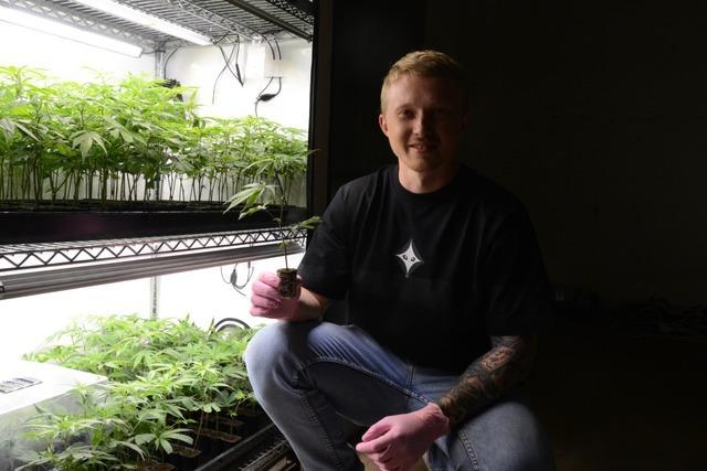 Hanf-Razzia in March - Cannabis-Unternehmer verteidigen Geschftsmodell